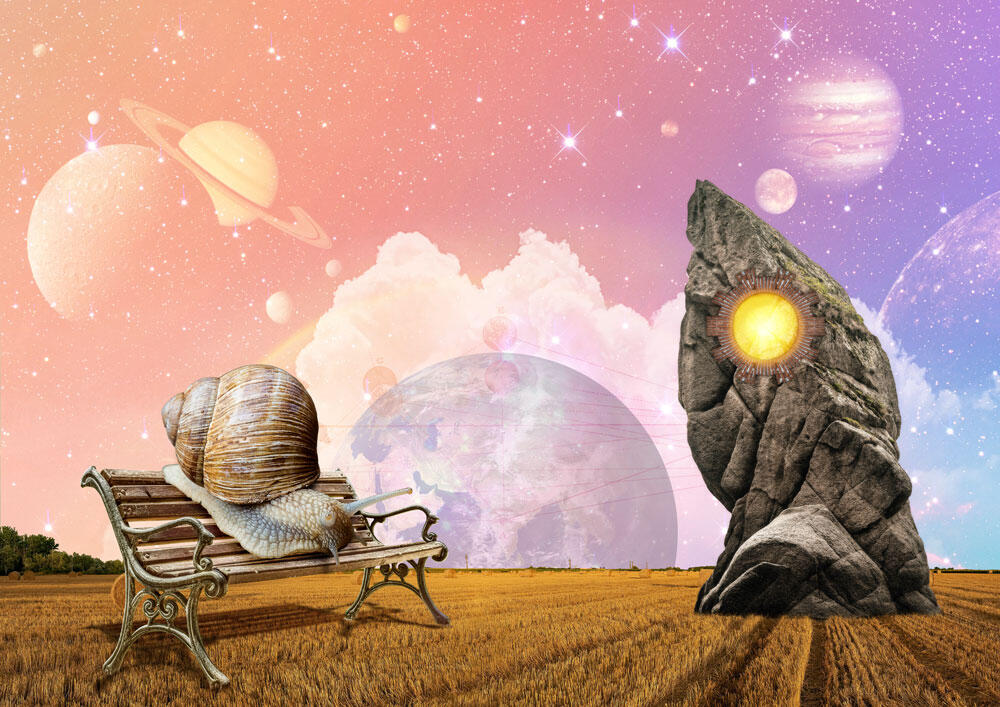 The Contemplation of Life and Infinity